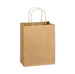 Paper Bags2